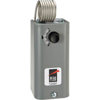 Coiled Bulb Space Thermostat Fastek