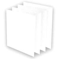 AeraMax&reg; Pro AM3 or AM4 Pre-Filters, 13.75" W x 0.13" D x 14.38" H Fastek