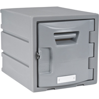 Locker, 12" x 15" x 12", Grey, Assembled FH725 | Fastek