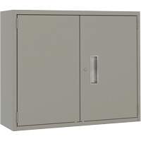 Wall Mounted Cabinet, Steel, 2 Shelves, 30" H x 36" W x 12" D, Grey Fastek