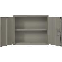 Wall Mounted Cabinet, Steel, 2 Shelves, 30" H x 36" W x 12" D, Grey Fastek