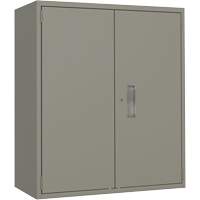 Lo-Boy Storage Cabinet, Steel, 2 Shelves, 40" H x 36" W x 18" D, Grey Fastek