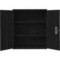 Lo-Boy Storage Cabinet, Steel, 2 Shelves, 42" H x 36" W x 18" D, Black Fastek