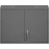 Armoire murale, 27" h x 29-7/8" la x 13-11/16" p, 2 tablettes, Acier, Gris Fastek