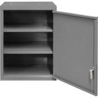 Armoire murale, 27" h x 13-11/16" la x 18" p, 2 tablettes, Acier, Gris Fastek