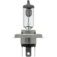 9003 Basic Headlight Bulb, Halogen, 61 W/67 W, Off White Fastek