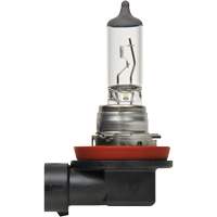H8 Basic Headlight Bulb, Halogen, 35 W, Off White Fastek