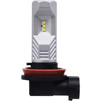 H8 Headlight Bulb, LED, 12.8 W/9 W, White Fastek