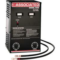 Powerful Performance Parallel Battery Charger Fastek