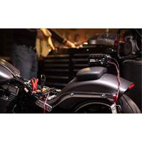 Genius&reg; 10 10-Amp Battery Charger Fastek