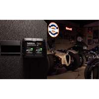 Genius&reg; 2X2 2-Bank, 4-Amp Battery Charger Fastek