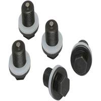 Set of 5 Plugs & Gaskets  Fastek