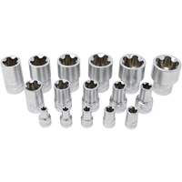 5-Point EPR Torx Socket Set, 16 Pieces, 1/4"/3/8"/1/2" Drive Size Fastek