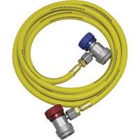 R134a A/C System Flush Hose Assembly Fastek