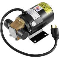 Low Profile Truck Drain with Electric Pump Fastek