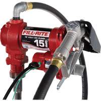 Pompe de transfert de carburant 12 V CC avec pistolet Fastek