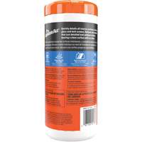 Interior Detailer Wipes Fastek