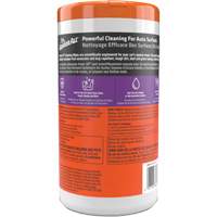 Cleaning Wipes Fastek