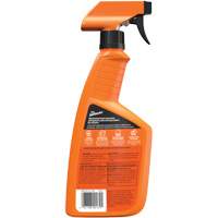 Multi-Purpose Auto Cleaner, 16 oz./473 ml, Trigger Bottle Fastek