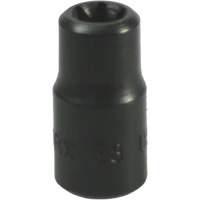 E-8 Torx&reg; Socket Fastek