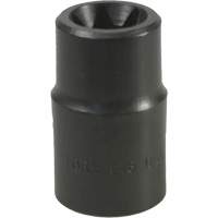 E-18 Torx&reg; Socket Fastek