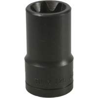 E-20 Torx&reg; Socket Fastek