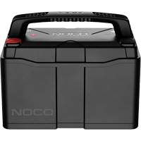 Batterie lithium-ion LiFePO4 &agrave; double usage de groupe 31, 120 Ah Fastek