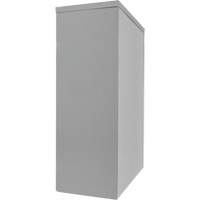 Counter-High Storage Cabinet, Steel, 2 Shelves, 42" H x 48" W x 24" D, Grey Fastek