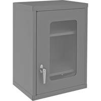 Armoire de rangement murale avec portes transparentes, 26-15/16" h x 18-1/8" la x 13-11/16" p, 2 tablettes, Acier, Gris Fastek