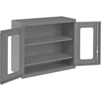 Armoire de rangement murale avec portes transparentes, 26-15/16" h x 29-7/8" la x 13-11/16" p, 2 tablettes, Acier, Gris Fastek