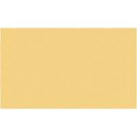 Cales minces chromocod&eacute;es en plastique Fastek