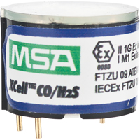 Gas Detection & Calibration Supplies
