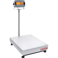 Defender 3000 i-D33 Bench  Scale, 300 lbs. Capacity IC900 | Fastek