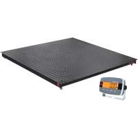 Balance de plancher DEFENDER 3000, Capacit&eacute; de 2500 lb, 48" la x 48" lo Fastek