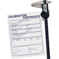 Digital Caliper with Traceable Certificate, 0.0005" (0.01 mm) Resolution, 0" - 12" (0 mm - 300 mm) Range Fastek