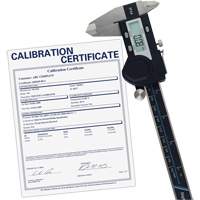 6" (150 mm) Digital Caliper with Traceable Calibration Certificate, 0.0005" (0.01 mm) Resolution, 0" - 6" (0 mm - 150 mm) Range Fastek