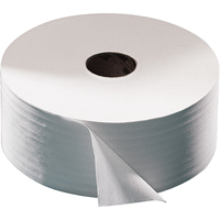 Papier hygi&eacute;nique Advanced, Rouleau G&eacute;ant, 2 Pli, Longueur 1600', Blanc Fastek