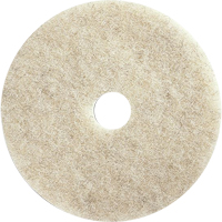 Floor Maintenance Pads, 21", Burnishing, Brown Fastek