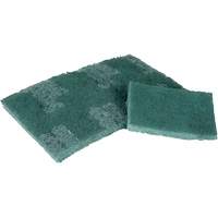 Scrubber Pad, 3" L x 4-1/2" W Fastek