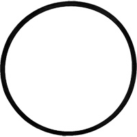 Courroie d'entrainement de rechange pour brosse Fastek