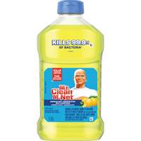 Antibacterial All-Purpose Cleaner, Bottle JL064 | Fastek