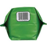 Biodegradable Hand Cleaner, Powder, 4.5 lbs., Packet, Unscented Fastek