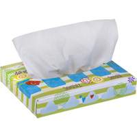 Kleenex<sup>®</sup> Junior Facial Tissues, 2 Ply, 8.4" L x 5.5" W, 40 Sheets/Box JL930 | Fastek