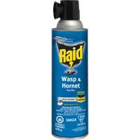 Raid<sup>®</sup> Wasp & Hornet Bug Killer, 400 g, Solvent Base JL959 | Fastek