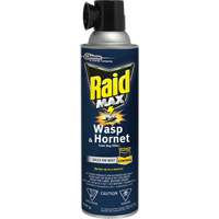Raid<sup>®</sup> Max<sup>®</sup> Wasp & Hornet Foam Bug Killer, 500 g, Aerosol Can, Solvent Base JM267 | Fastek