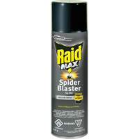 Raid<sup>®</sup> Max<sup>®</sup> Spider Blaster Bug Killer Insecticide, 500 g, Aerosol Can, Solvent Base JM270 | Fastek
