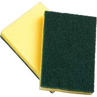 Sponges with Scouring Pad, Scrubbing, 4" W x 6" L JN021 | Fastek