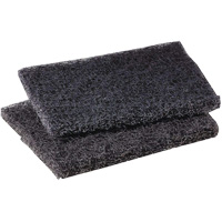 Tampon de polissage pour plaque de cuisson Scotch-Brite, 4" lo x 5" la Fastek