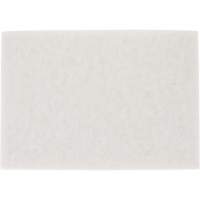 Tampon pour planchers TopLine Speed, 14" x 20", Lustrage/Nettoyage/Polissage, Blanc Fastek