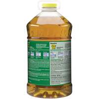 Nettoyant pour vitres et surfaces multiples Pine Sol, 4,25 L, Cruche Fastek